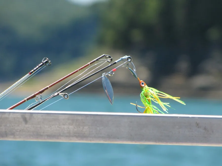 Frenzy TAP-GID Angry Popper Angry Lures fishing lures